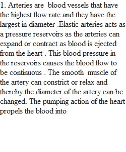 Blood flow and pressure discussion questions